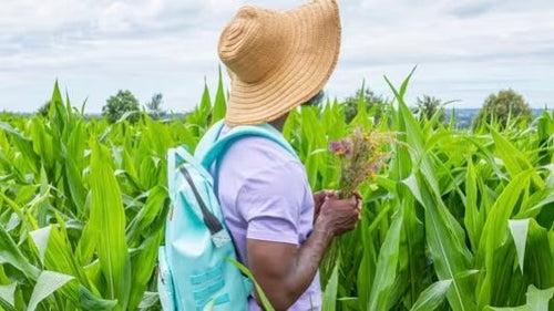 Cabaïa Europe - Cabaïa Europe