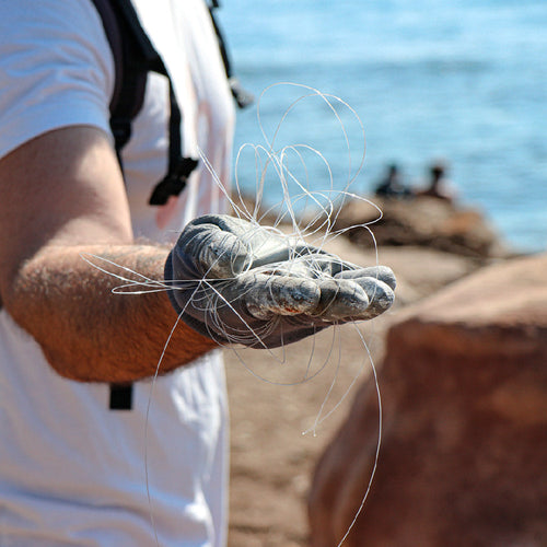 Cabaïa Europe - Cabaïa Europe