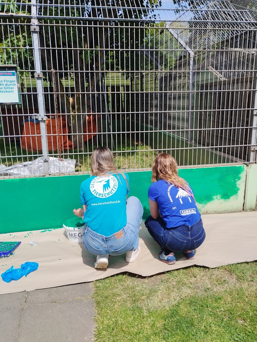 Cabaïa Europe - Cabaïa Europe