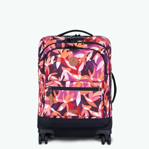 Cabaïa Europe - Cabaïa Europe