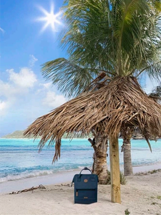 Cabaïa Europe - Cabaïa Europe