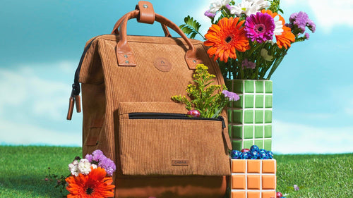 Cabaïa Europe - Cabaïa Europe