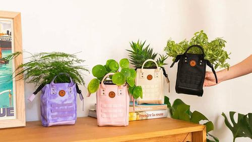 Cabaïa Europe - Cabaïa Europe