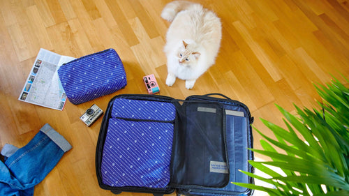 Cabaïa Europe - Cabaïa Europe