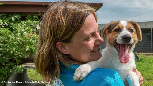 Cabaïa Europe - Cabaïa Europe