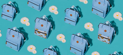 Cabaïa Europe - Cabaïa Europe