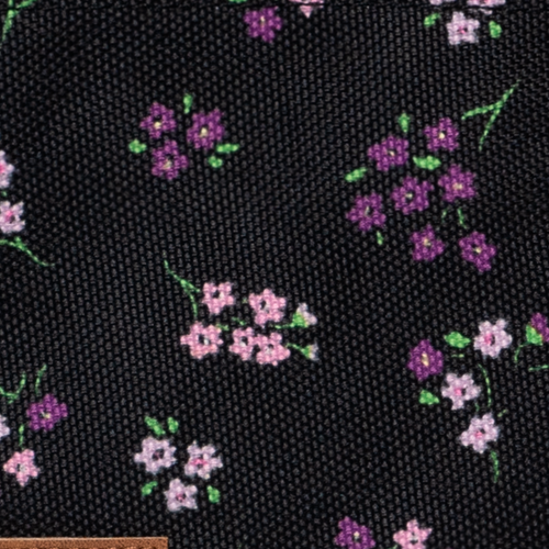 Cabaïa Europe - Cabaïa Europe