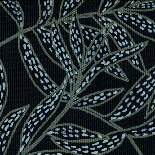 Cabaïa Europe - Cabaïa Europe