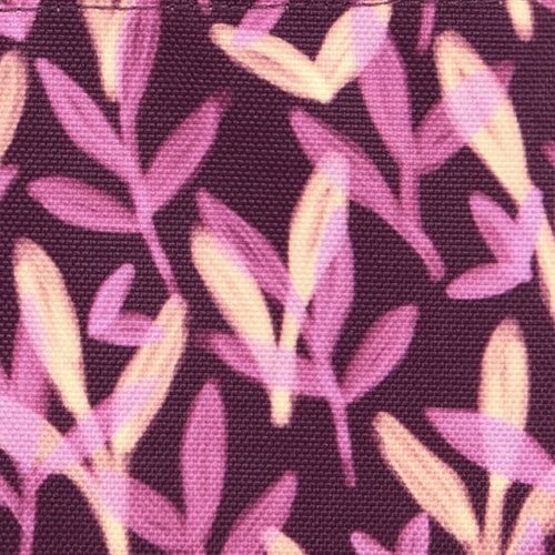 Cabaïa Europe - Cabaïa Europe