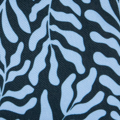 Cabaïa Europe - Cabaïa Europe