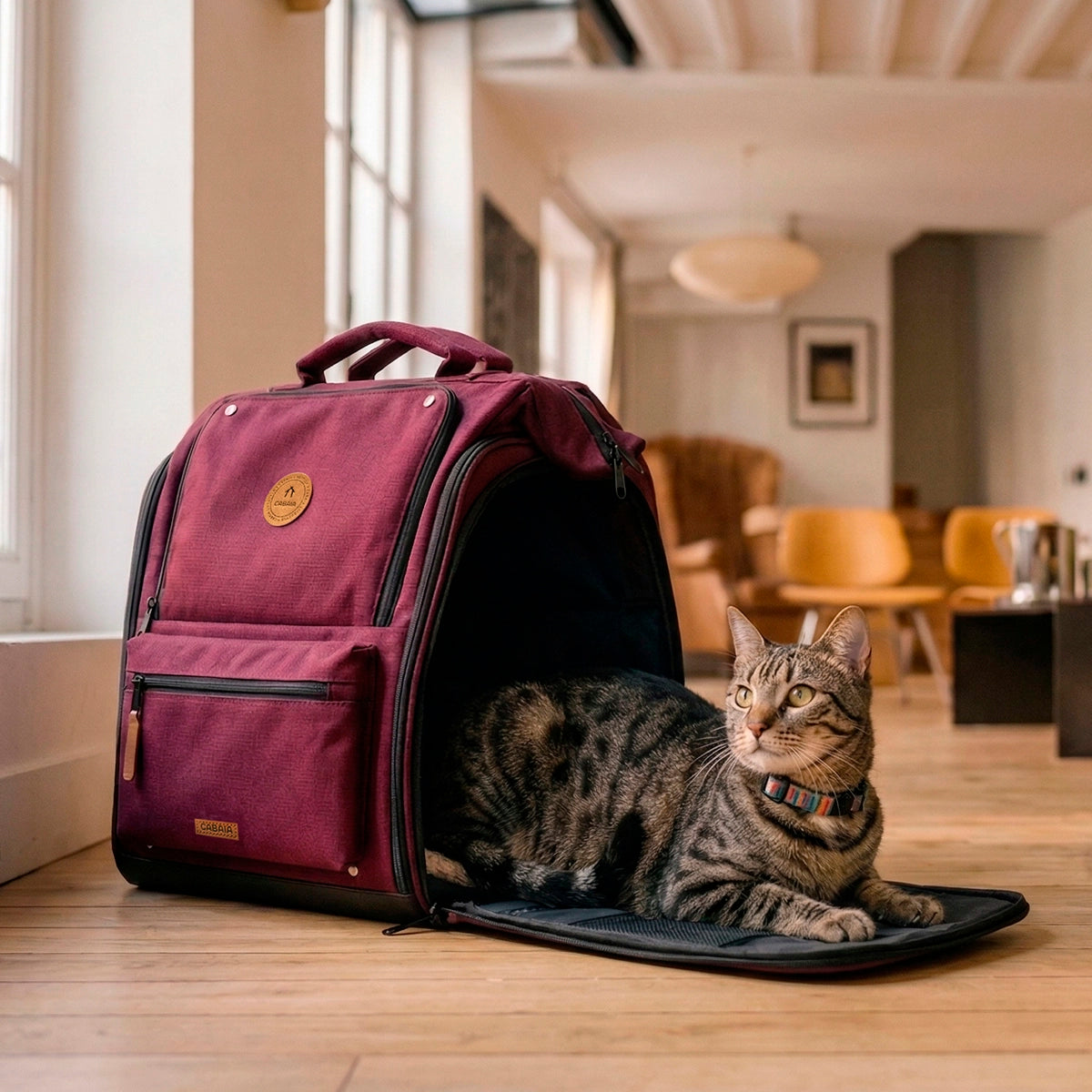 Zaino trasportino per animali Adventurer Nice - Cabaïa Europe - 