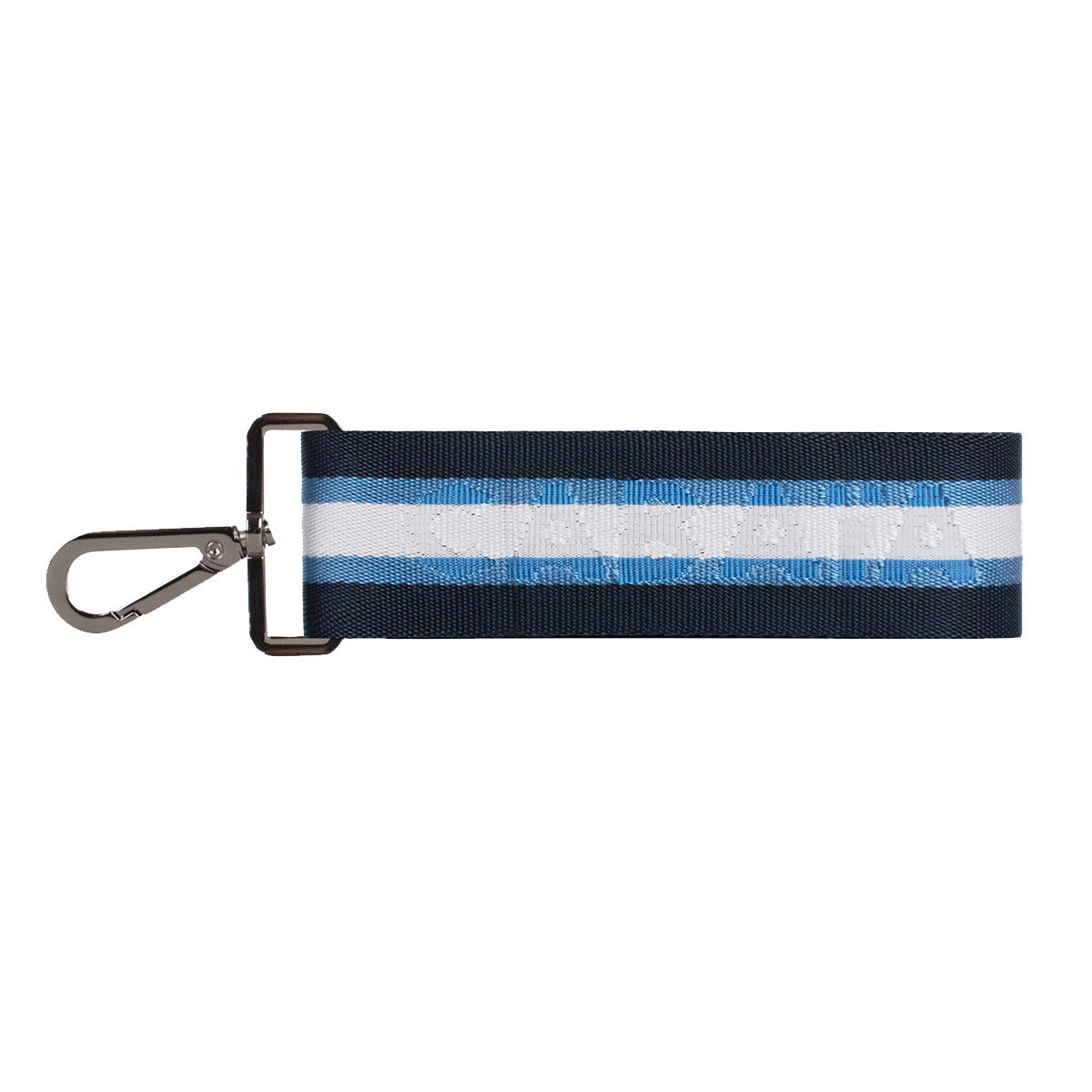 blue-amp-white-shoulder-strap-nano-bag