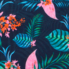 Cabaïa Europe - Cabaïa Europe