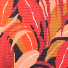 Cabaïa Europe - Cabaïa Europe