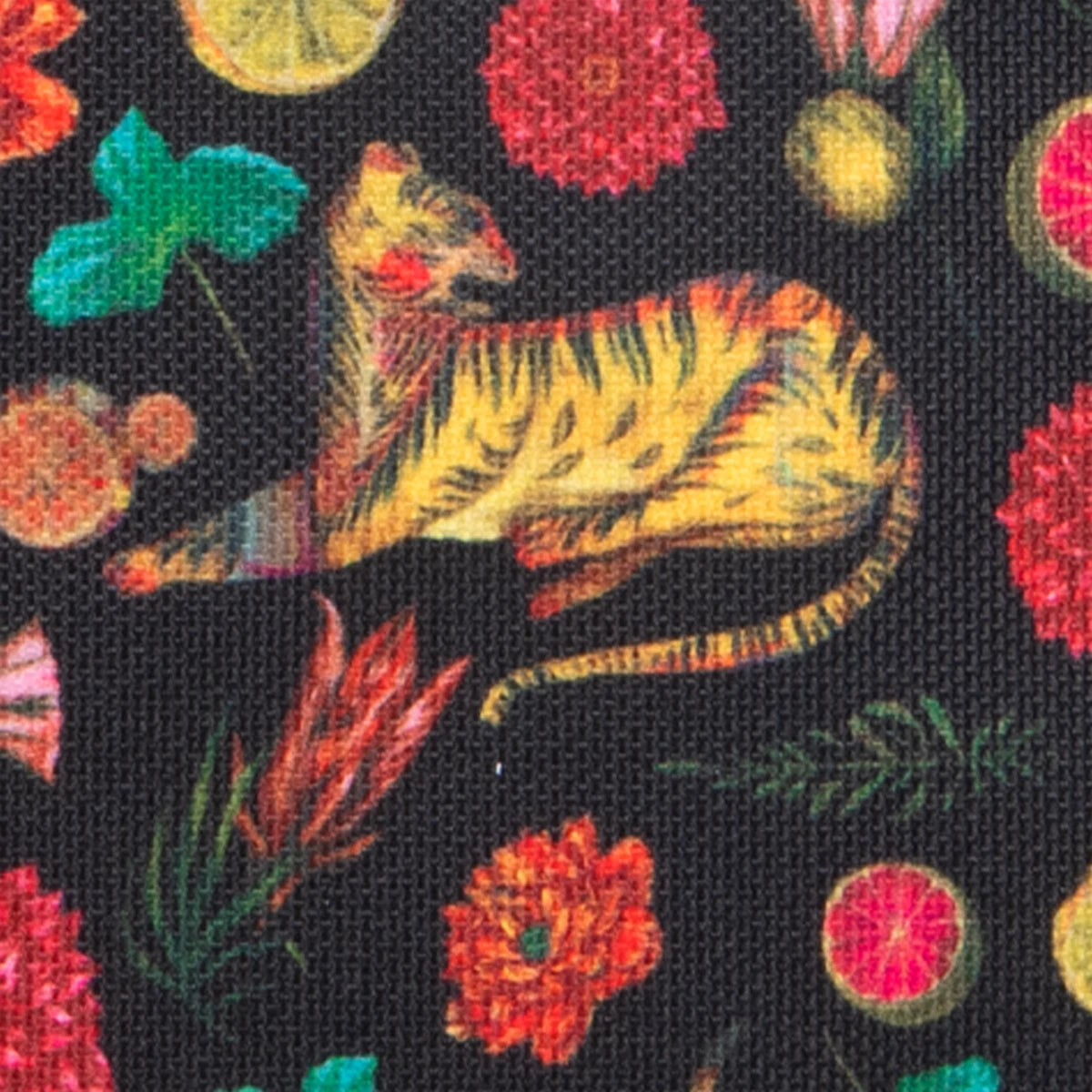 Vordertasche M Olaf Hajek - Cabaïa Europe - 