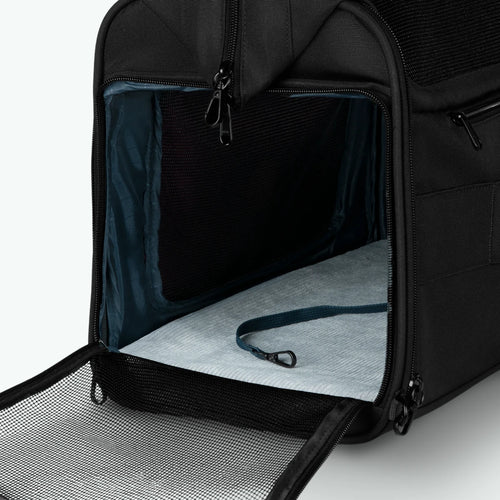 Adventurer Pet Bag Reistas Berlin - Cabaïa Europe -  - Cabaïa Europe