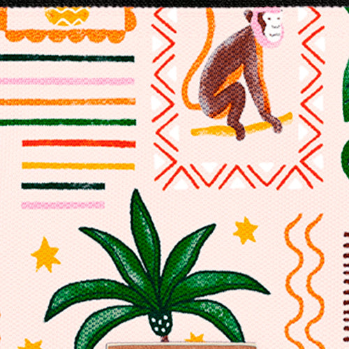 Cabaïa Europe - Cabaïa Europe