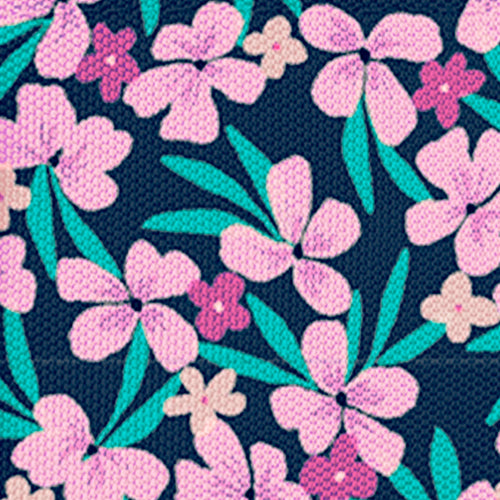 Cabaïa Europe - Cabaïa Europe