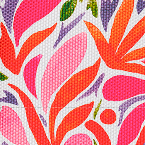 Cabaïa Europe - Cabaïa Europe