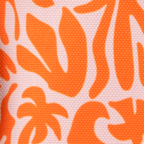 Cabaïa Europe - Cabaïa Europe