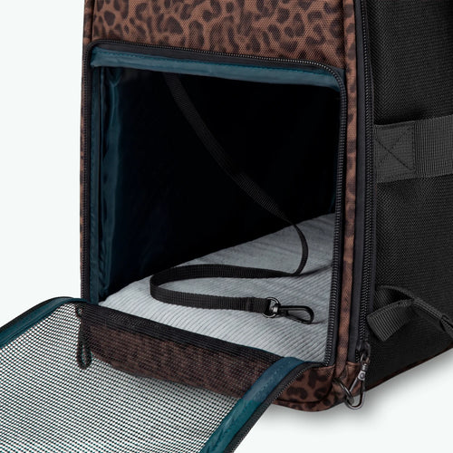 Adventurer Pet Bag Rucksack Gulen - Cabaïa Europe -  - Cabaïa Europe