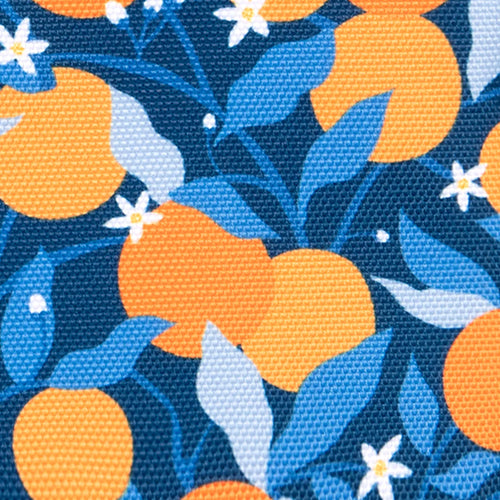 Cabaïa Europe - Cabaïa Europe