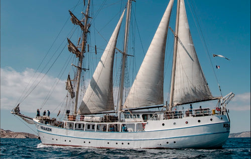 Cabaïa Europe - Cabaïa Europe