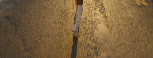 Cabaïa Europe - Cabaïa Europe